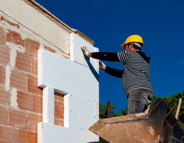 Best Insulation Inspection Services  in Potosi, MO
