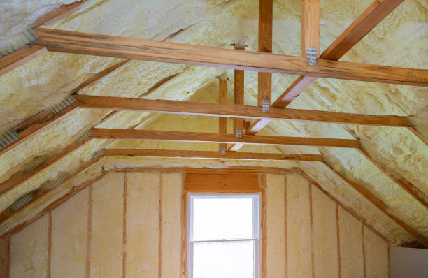 Best Attic Insulation Installation  in Potosi, MO
