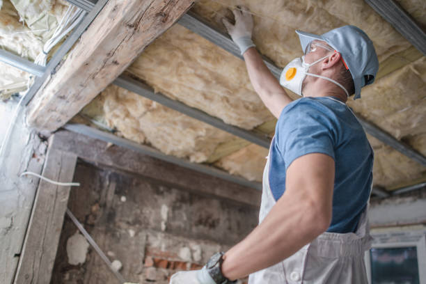 Best Cellulose Insulation  in Potosi, MO