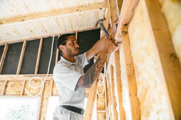 Best Insulation for New Construction  in Potosi, MO