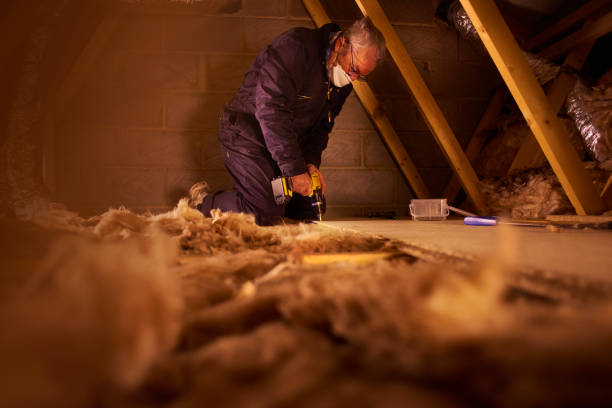 Best Insulation Removal  in Potosi, MO